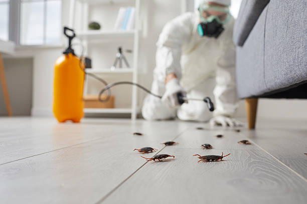 Commercial Kitchen Cockroach Control in Orange Beach